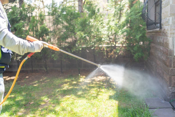 Wasp Removal Services in St Bernard, OH